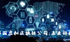 : 探索韩国虚拟区块链公司：未来科技的先锋